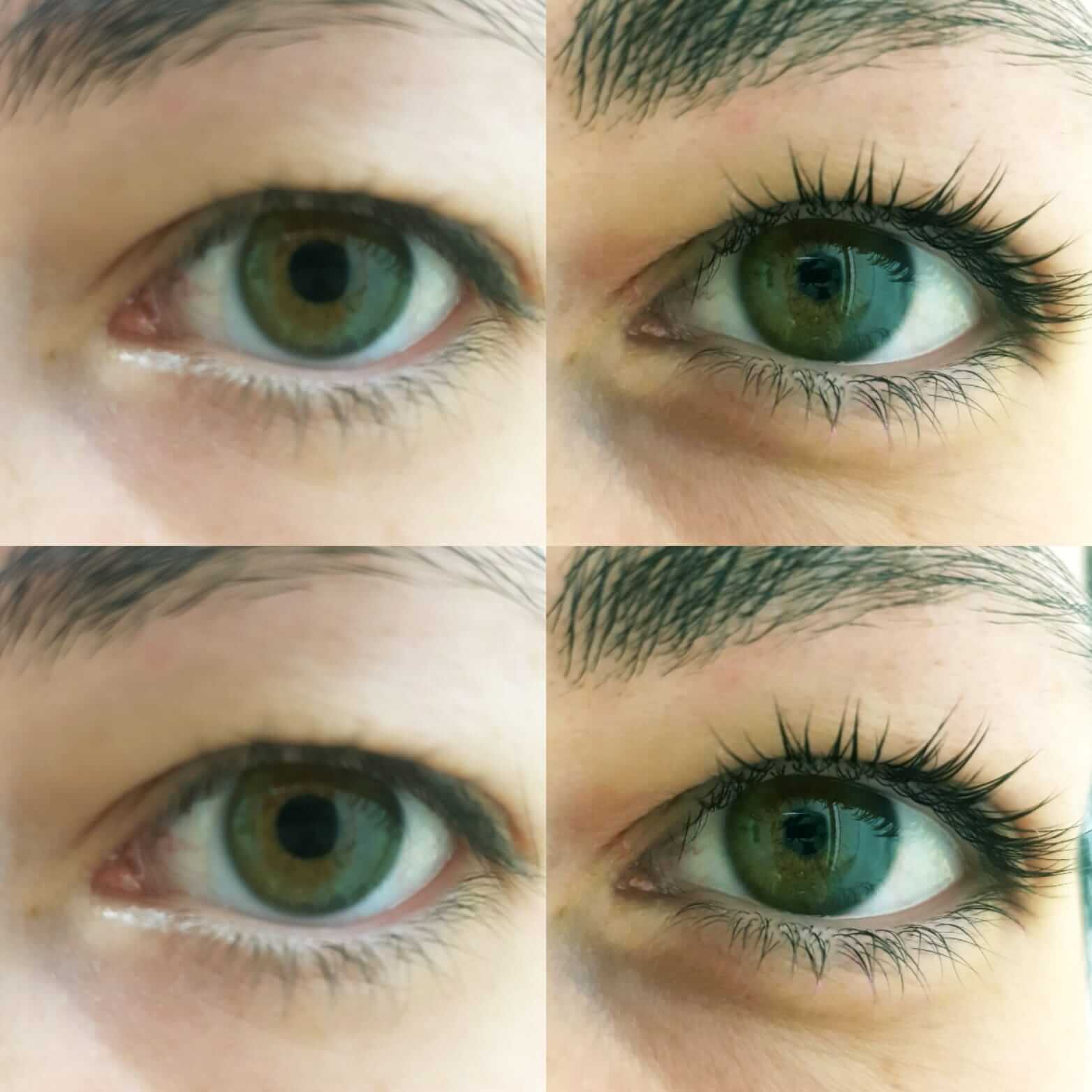 How long do shop lash lifts last